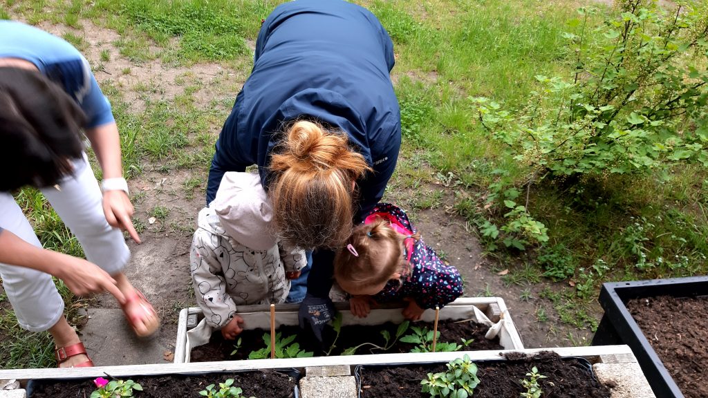 Kita Gartenaktion pflanzen