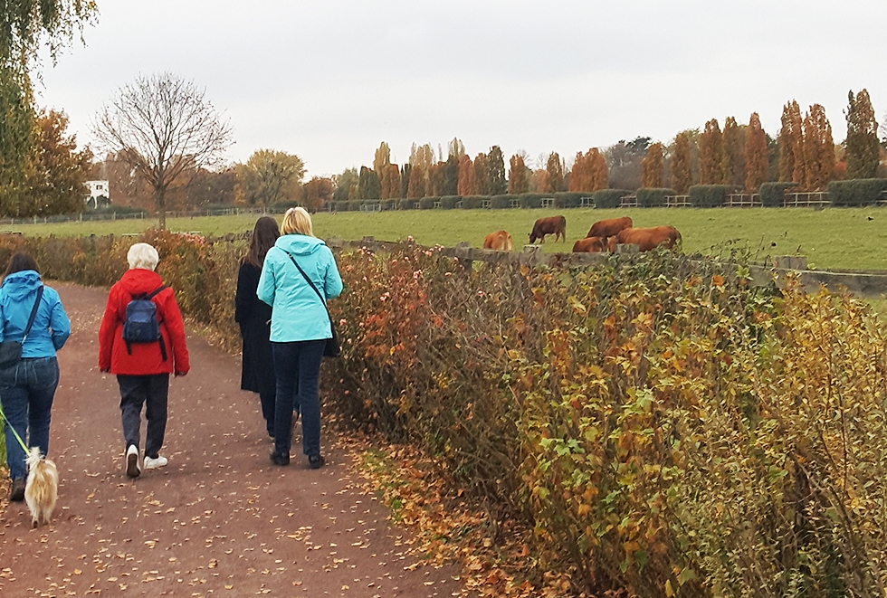 Spaziergangsgruppe vom Siriustreff
