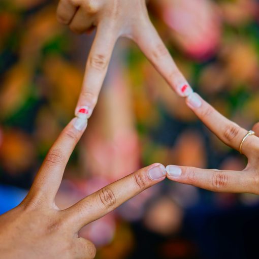 Bild von pexels_©DarrelUnd_1023828