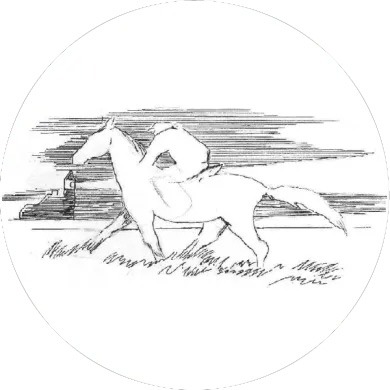 Logo der Theodor-Storm-Grundschule, Bleistiftzeichnung vom Schimmelreiter